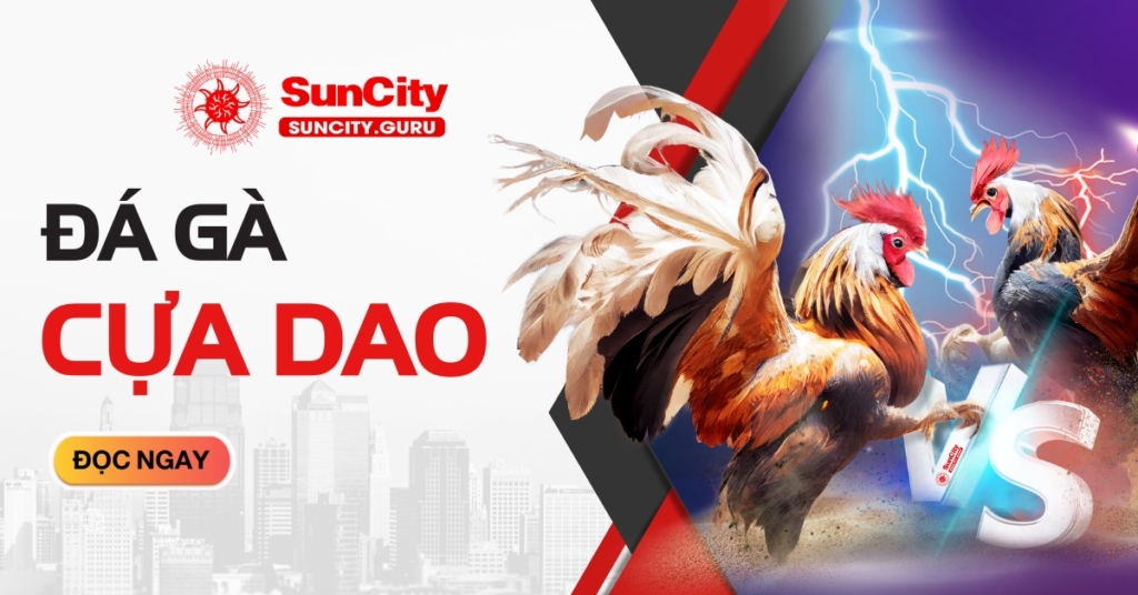 Đá gà cựa dao