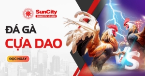 Đá gà cựa dao