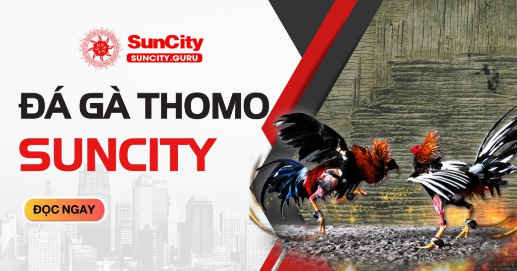 Đá gà thomo