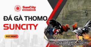 Đá gà thomo